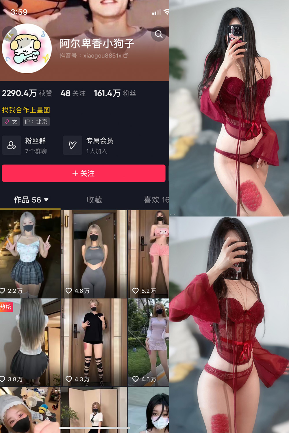 抖音 阿尔卑香小狗子 微密圈 NO.056期 【10P2V】最新至:2024.8.25