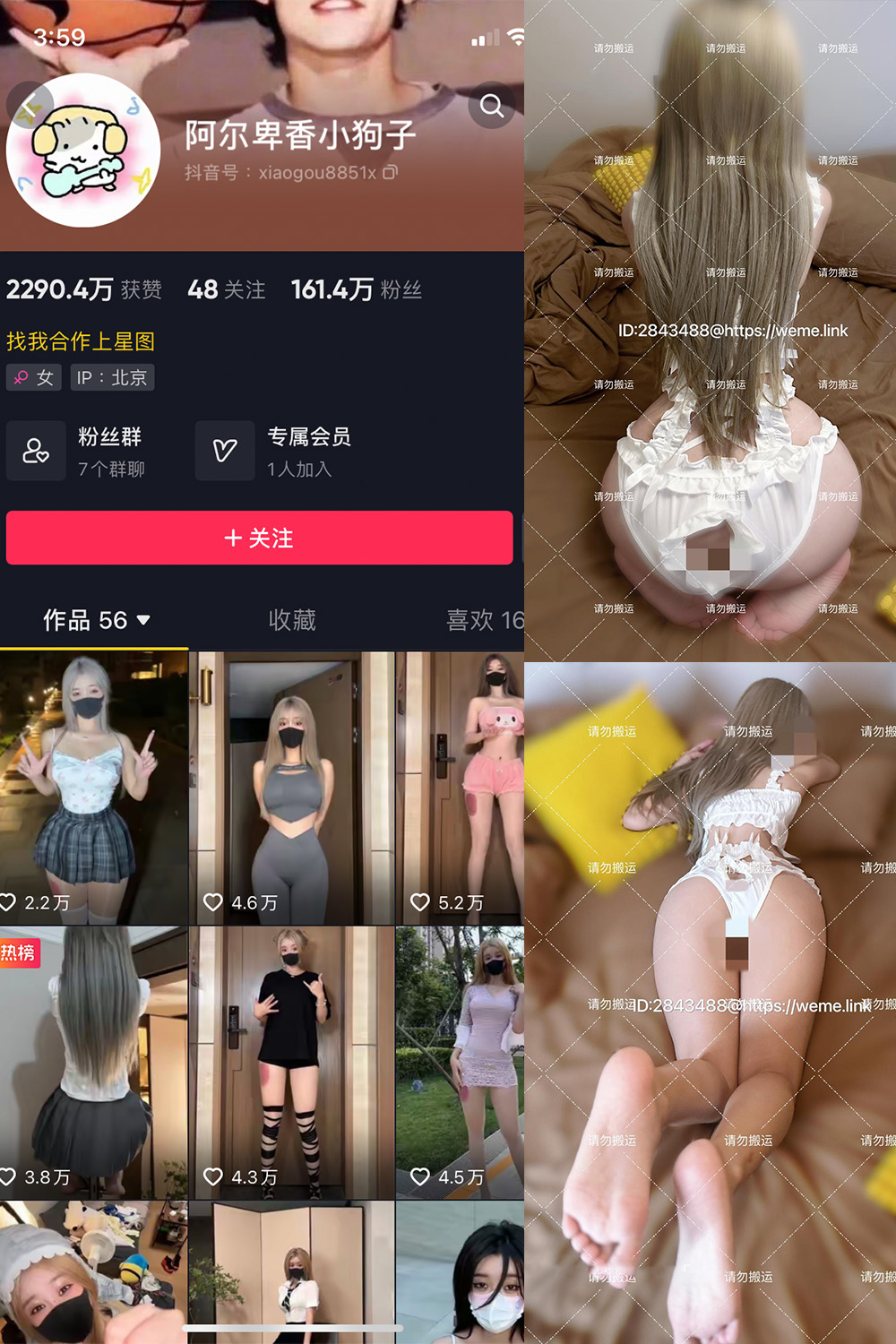抖音 阿尔卑香小狗子 微密圈 NO.054期 【16P1V】最新至:2024.8.7