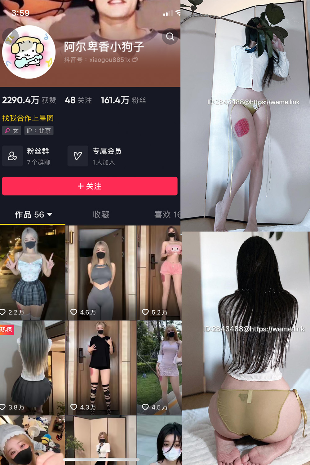 抖音 阿尔卑香小狗子 微密圈 NO.047期 【39P】最新至:2024.6.10