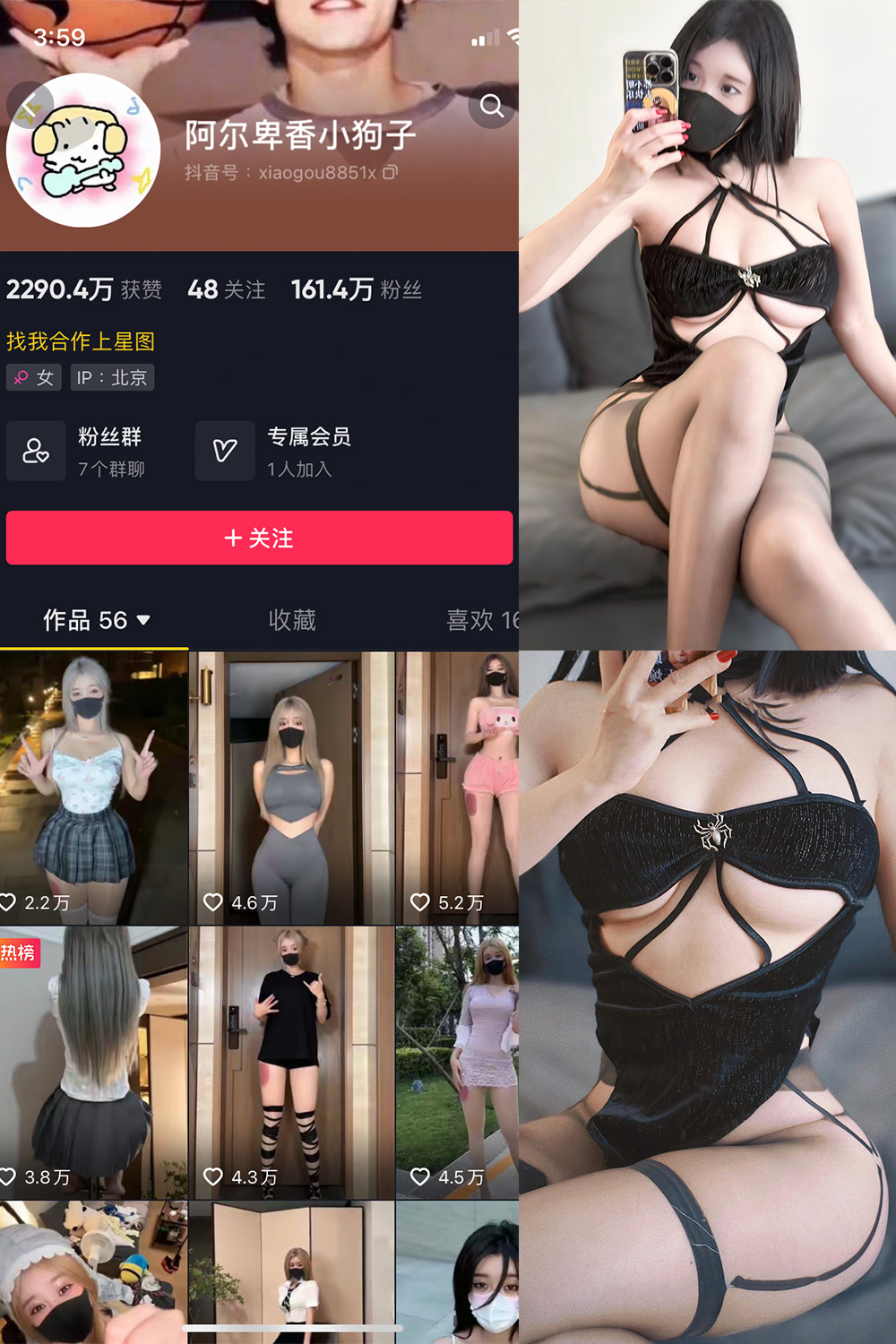 抖音 阿尔卑香小狗子 微密圈 NO.046期 【14P1V】最新至:2024.6.6