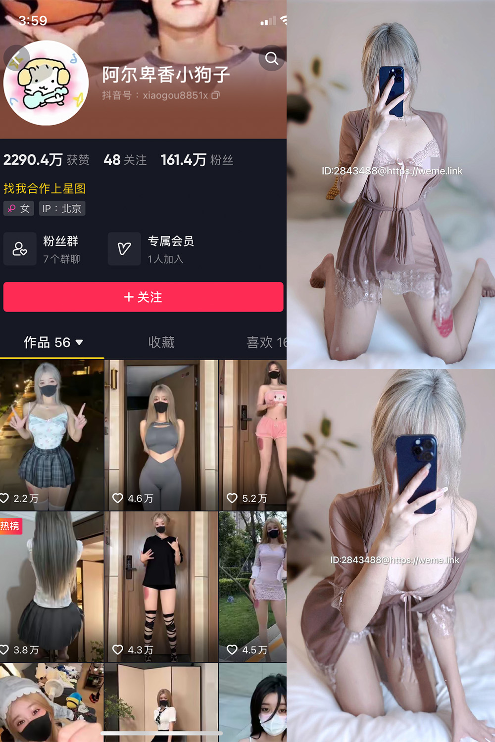 抖音 阿尔卑香小狗子 微密圈 NO.045期 【39P】最新至:2024.5.30