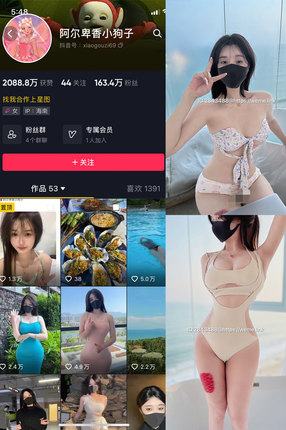 抖音 阿尔卑香小狗子 微密圈 NO.003期 【39P3V】最新至:2023.5.31